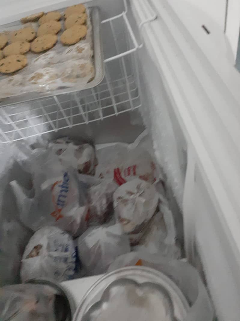 Waves deep freezer 4