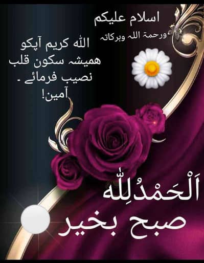 imran hyder