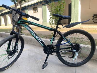 Royall Hybrid Cycle – Excellent Condition