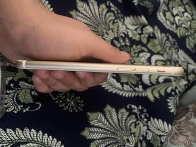 iphone 6 pta approved