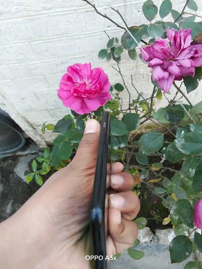 google pixel 5 exchange possible iphone