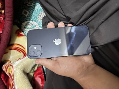 iPhone 12 10/10 Condition 94% Battery Box Pack