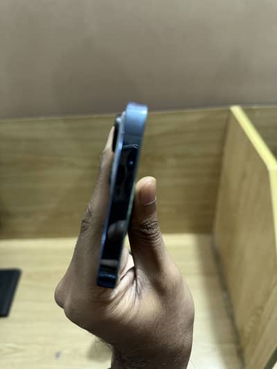 iPhone 13 pro max 256gb