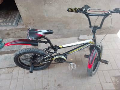 Safari freestyle cycle