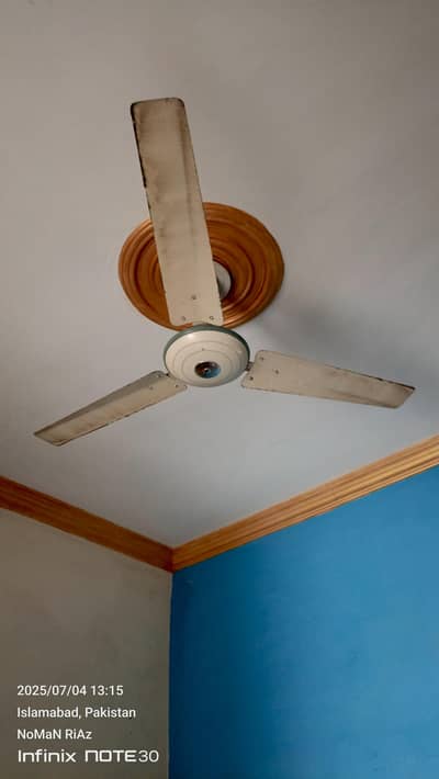 All FaN's FoR Sale