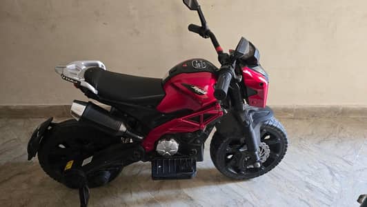 Electric Bike Double Battery