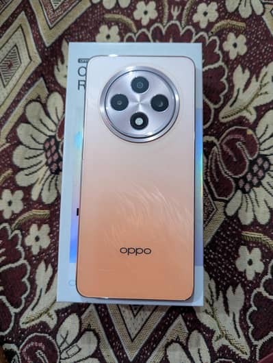 Oppo Reno 12f 5G : 12/256 : All Okay : 10/10 : PTA Approved
