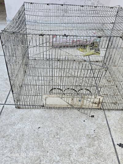Big Iron Cage urgent sale