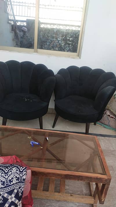 Combination of beautiful  sofa chairs