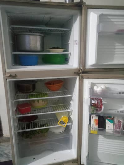 Dawlance frege medium size