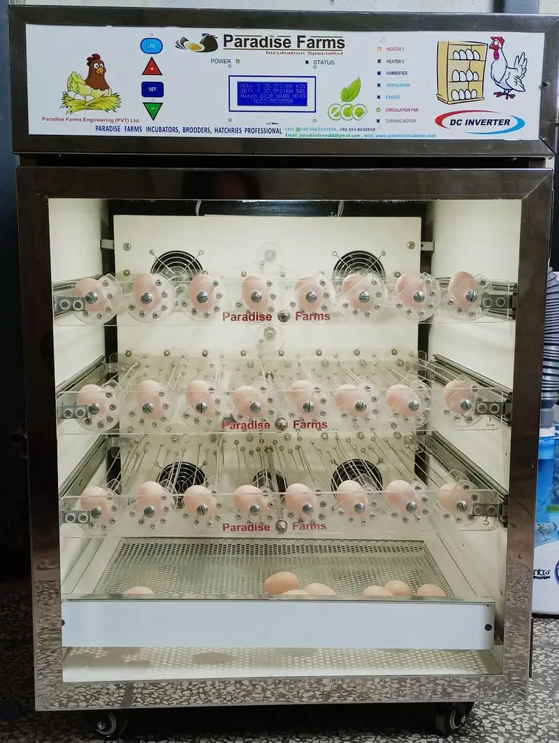 incubator 140 eggs capacity fully automatic invertor technology — photo 7