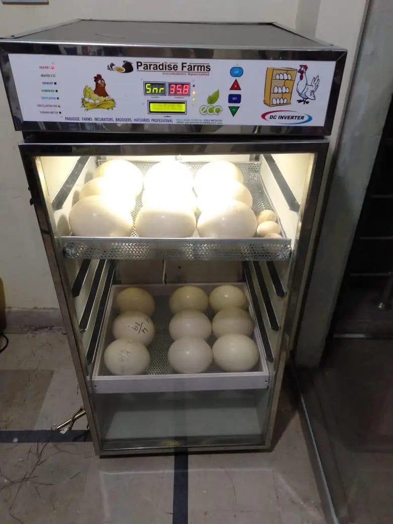 incubator 140 eggs capacity fully automatic invertor technology — photo 9