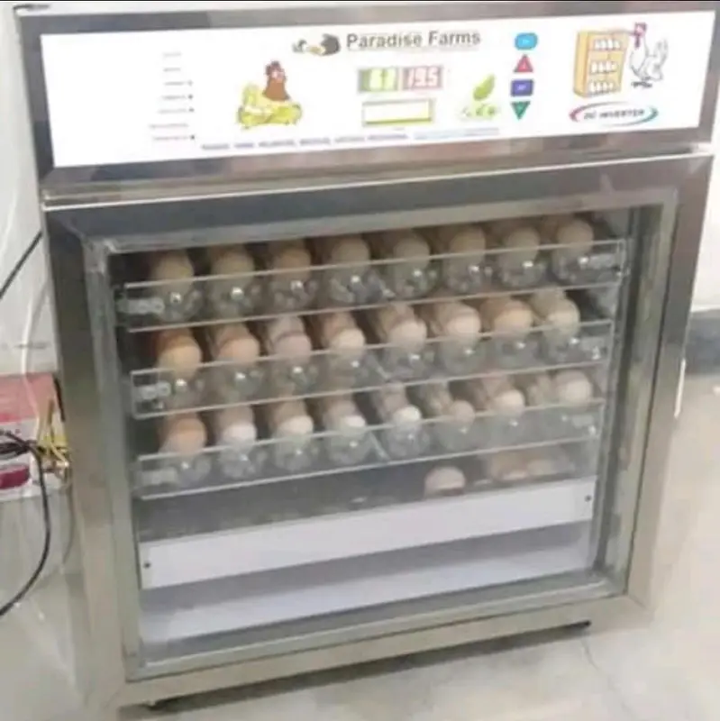 incubator 140 eggs capacity fully automatic invertor technology — photo 10
