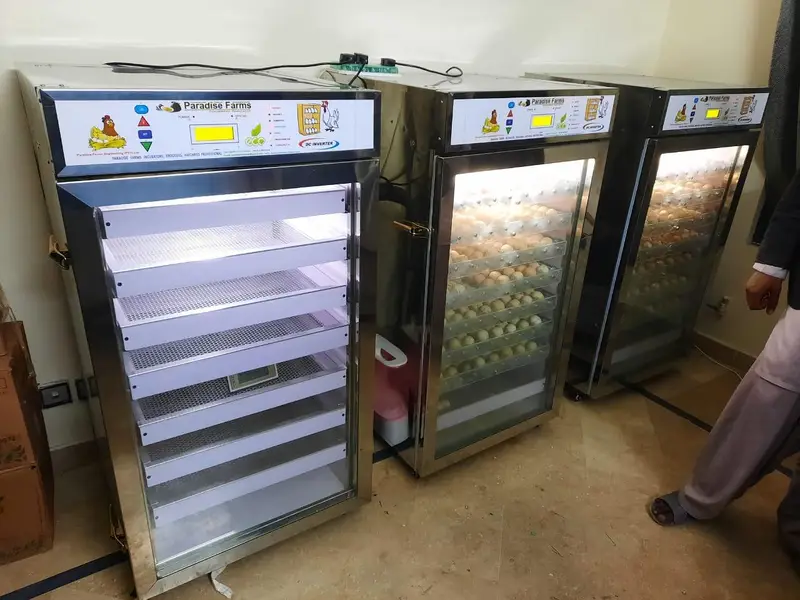 incubator 140 eggs capacity fully automatic invertor technology — photo 11
