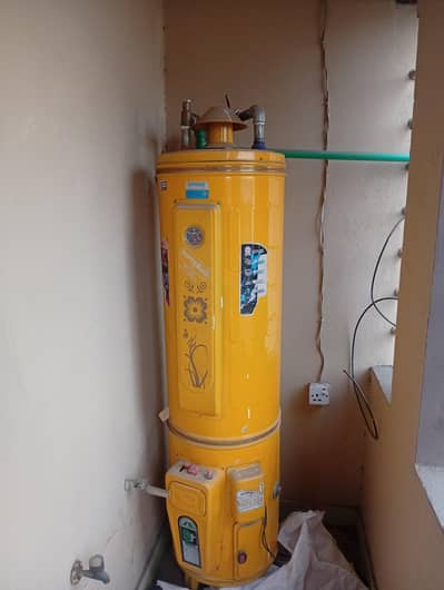 electric and gas geyser