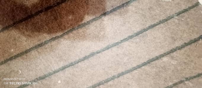 carpet whole room size