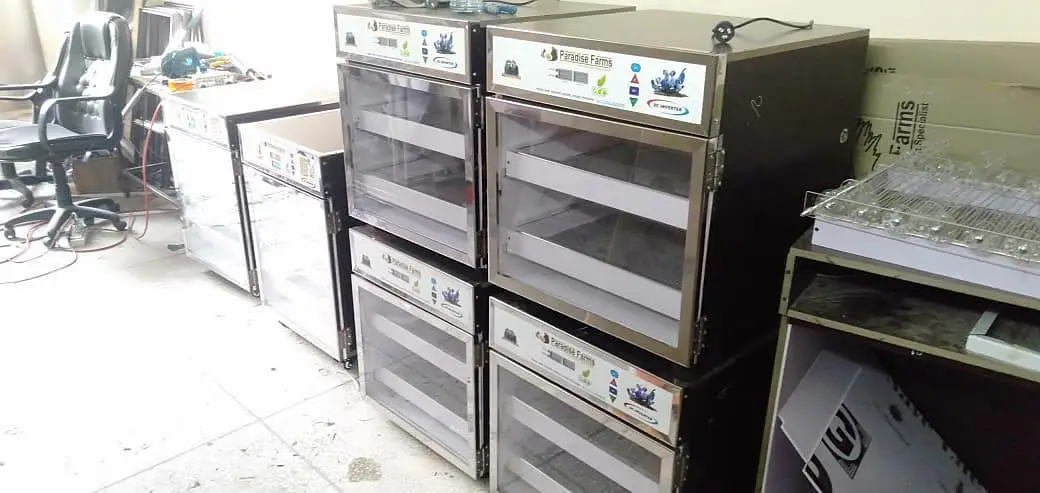 parrots brooder German invertor technology — photo 3