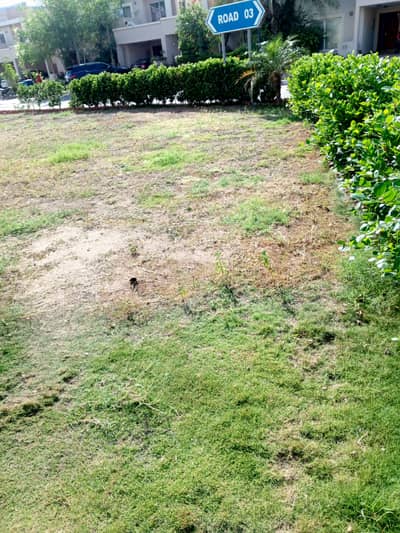 Beautiful location plot with green lande Available