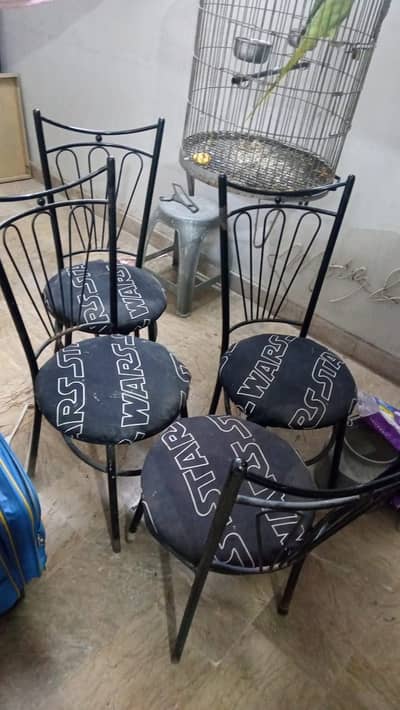 Heavy gauge Metal Dinning Chairs