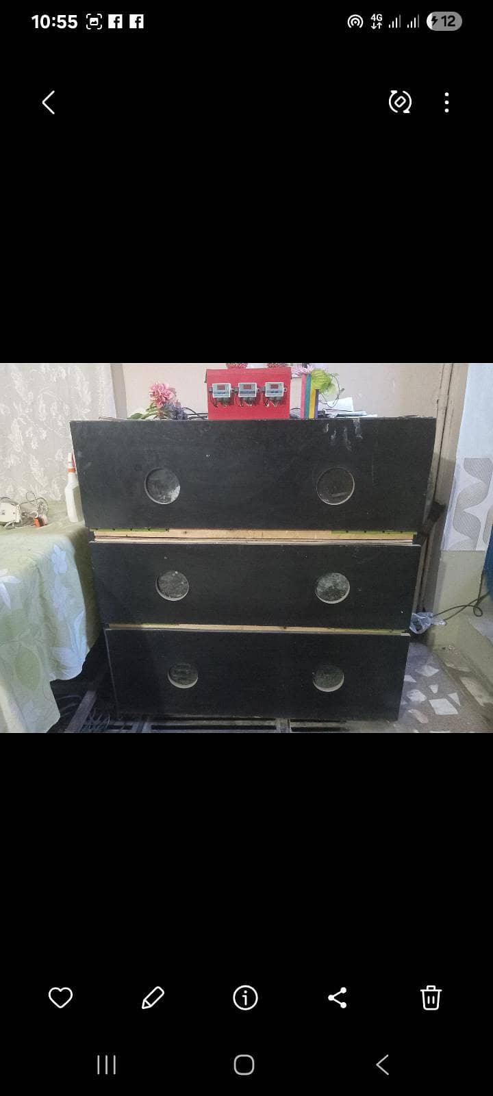 AC/DC Incubator & Brooder 1
