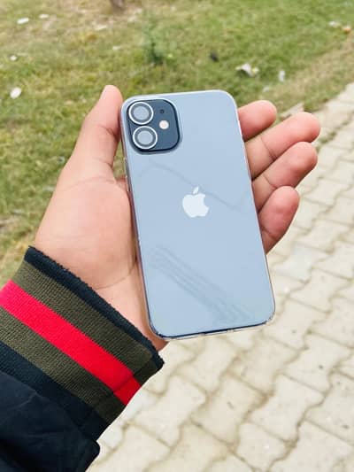 iPhone 12 mini water pack