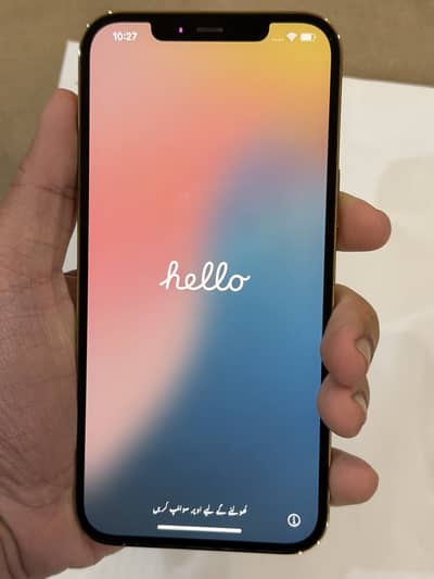 Apple iPhone 12 Pro Max pta approved version 128gb