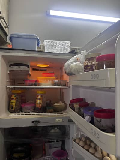 Non frost refrigerator for sale