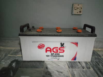 27 plates one year old