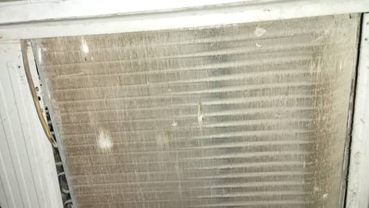 oregnal congratulations