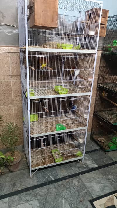 full setup cages breeder pairs love bird confirm breeder