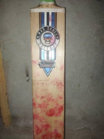 Hard ball bat/ English willow cricket bat.