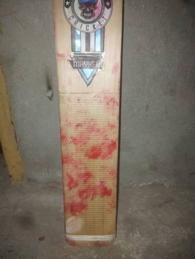 English willow cricket bat