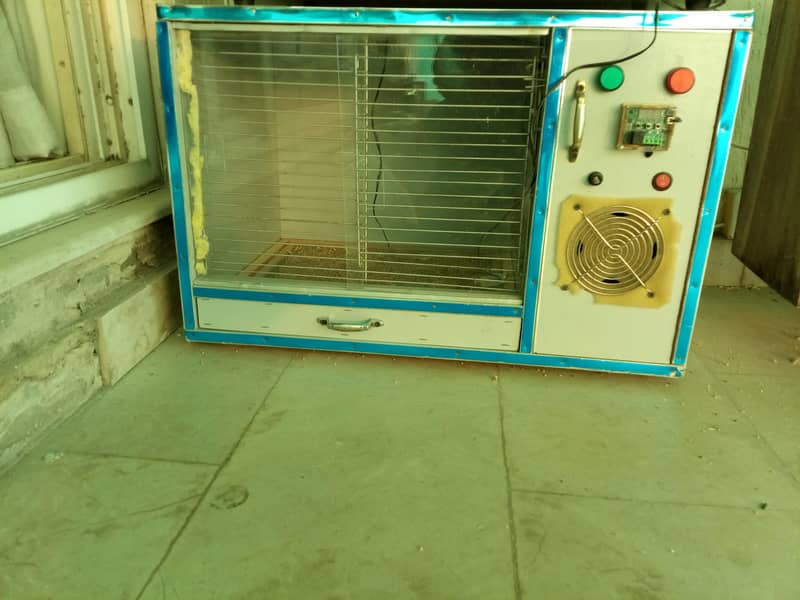 brooder available 12