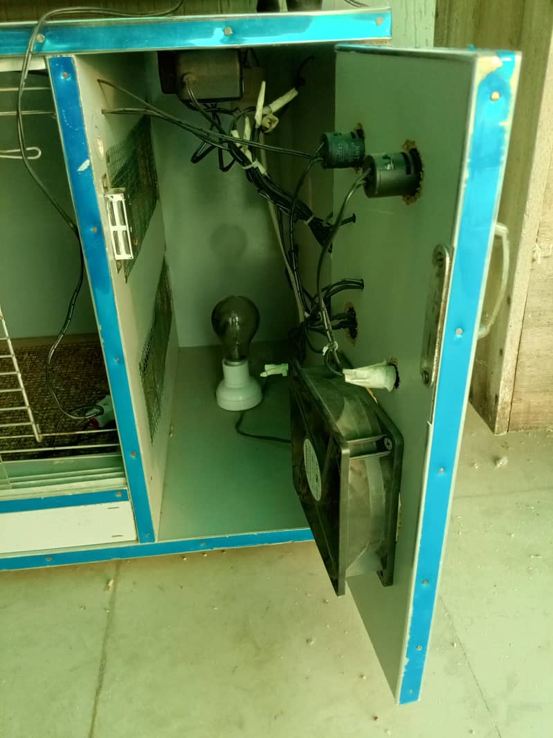 brooder available 14