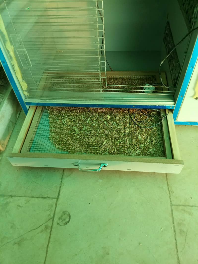 brooder available 16