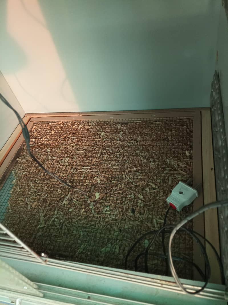 brooder available 17