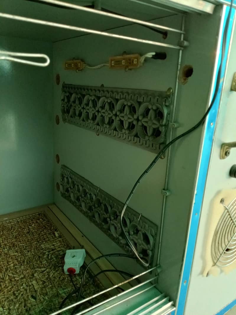 brooder available 18