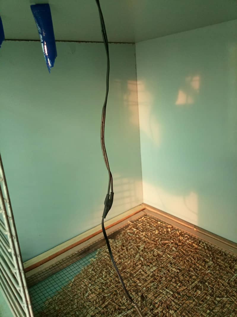 brooder available 19