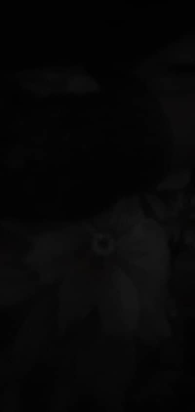 supervisor gents tailor shop