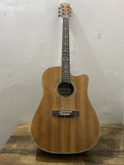 Shuffle Guitar | Semi Acoustic |