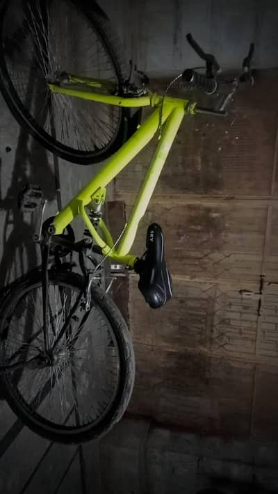 kids bicycle parrot colour