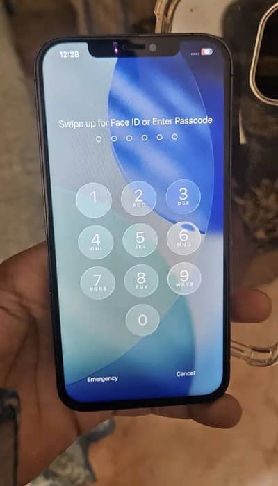 Apple iPhone 12 Pro Max