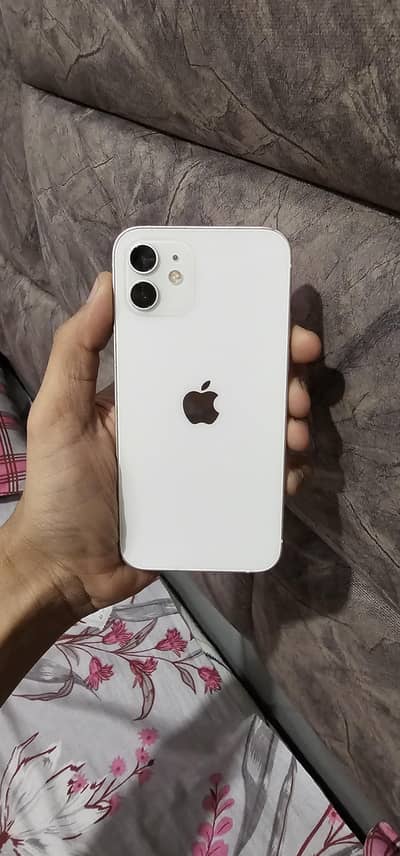 Iphone 12  Pta Approved