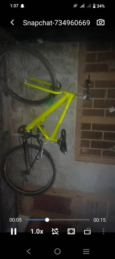 kids bicycle parrot colour