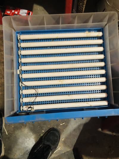 Fully automatic 140 eggs incubator imported