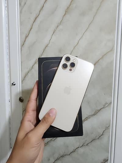 Iphone 12 pro max PTA Approved