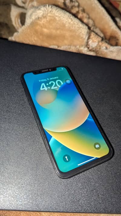 iPhone X non pta panel changed