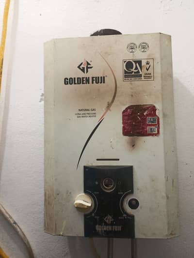 6 litter gyser for sale