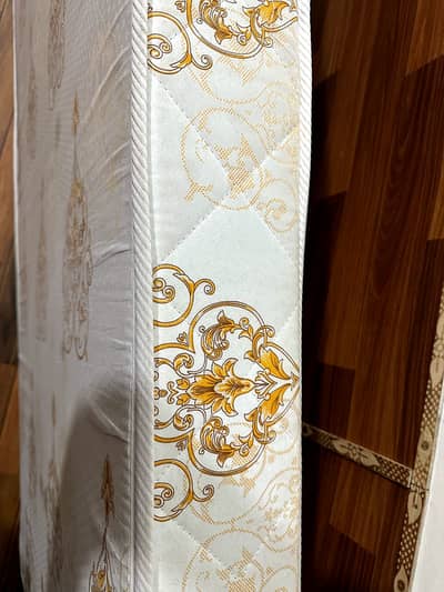 Single Bed Master Molty Foam