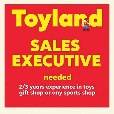 Sales executives (experienced only )